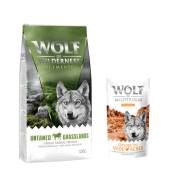 Wolf of Wilderness 12kg + friandises Training 100 g