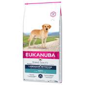 12kg Adult Breed Specific Labrador Retriever Eukanuba