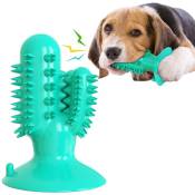 Brosse à dents pour chien Cactus Bâton de meulage