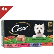 Cesar - Barquettes en terrine 4 variétés pour chien 300g (4x4)
