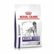 Lot Royal Canin Expert pour chien - Dental (2 x 13