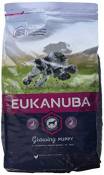 Eukanuba Croquette pour Chiot Moyenne 3 kg - Pack de
