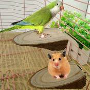Greenlans Perchoir en bois pour cage à oiseaux