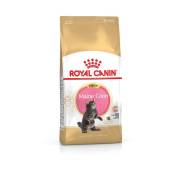 Nourriture que Royal Canin Kitten Maine Coon pour chatons
