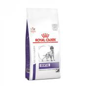 Royal Canin Veterinary Dental Medium & Large Dogs -