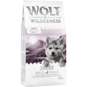 2x12kg Wolf of Wilderness Junior Wild Hills, canard