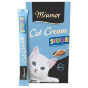 66x15g Miamor Cat Cream Junior-Cream Katzensnack