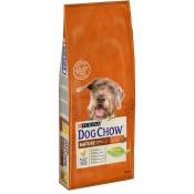 DOG CHOW Croquettes - Avec du poulet - Pour chien mature adulte - 14 kg