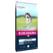 Lot Eukanuba pour chien - Grain Free Adult Large Breed agneau (2 x 12 kg)