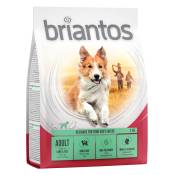 Offre d'essai : croquettes Briantos 1 kg pour chien - Adult , agneau, riz