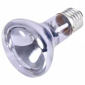 Trixie Lampe Spot Néodyme 63 × 100 mm 35 W