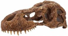 EXO TERRA Exoterra Decor Crane T Rex Skull