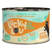 6x200g Lucky Lou Lifestage Adult volaille & truite nourriture pour chat humide