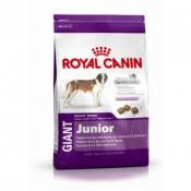 Croquettes royal canin giant junior sac 15 kg