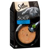 Mégapack Sheba Classic Soup 80 x 40 g pour chat - thon