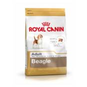 Royal Canin - Croquettes Beagle pour Chien Adulte -