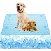 Soie glacée coussin froid froid tapis pour animaux