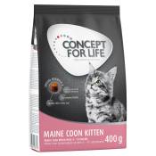 400g Maine Coon Kitten Concept for Life - Croquettes pour chat