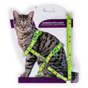Animallparadise - Harnais avec laisse 1.20m, kitty cat, vert, pour chatons. Vert