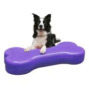 FitPAWS Plate-forme d'équilibre d'animaux Giant K9FITbone
