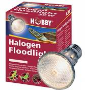Hobby Diamond 37386 Ampoule halogène Floodlight 50