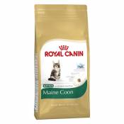 Royal Canin - Maine coon kitten 4kg