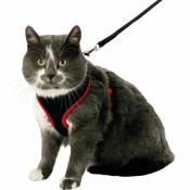 Animallparadise - Harnais pour chatons, couleur noir et rouge, taille S, réglable Rouge