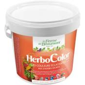 HerboColor 500 gr mix d'herbes séchées pour des couleurs éclatantes volailles