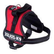 Julius-K9 rouge - Harnais chien taille Mini : 49 - 67 cm
