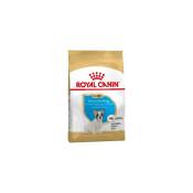 Royal Canin - Nourriture que French Bulldog Chiot (Junior)
