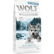 Wolf of Wilderness Junior Blue River poulet élevé en liberté, saumon pour chiot - 2 x 12 kg