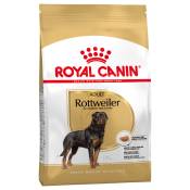 2x12kg Breed Rottweiler Adult Royal Canin - Croquettes pour chien