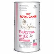 9x100g Babycat Lait maternisé Royal Canin pour chaton