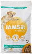 Iams - Croquettes light pour chien - 3 kg - Lot de