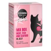 Lot Cosma Asia 24 x 100 g pour chat - lot 6 saveurs