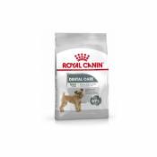 Croquettes Royal Canin Mini Dental Care Adulte Sac 8 kg