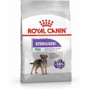 Royal Canin - ccn mini sterilised - dry food for adult