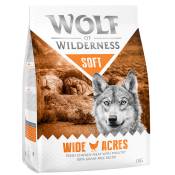 2kg Soft Wide Acres, poulet Wolf of Wilderness Croquettes chien + 1 kg offert !