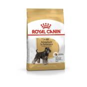 Royal Canin BHN Miniature Schnauzer Adult - nourriture