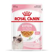 24x85g Royal Canin Kitten en gelée - Pâtée pour chat
