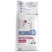 Lot Forza10 pour chien - Active Line, Intestinal Active