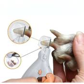 Professionnel coupe-ongles pour animaux de compagnie ciseaux chien chat ongles orteil griffe Clipp - Crea