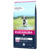 2x12kg Grain Free Puppy Large Breed saumon Eukanuba - Croquettes pour chien