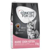 3kg Concept for Life Maine Coon Kitten - Croquettes pour chaton