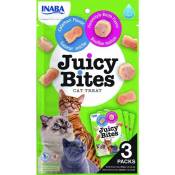 INABA Juicy Bites Bouillon Homestyle et Calamars - snacks pour chats - 3x11,3 g