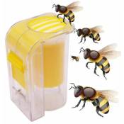 Shining House - Queen Bee Marker Bottle Bee Fondant