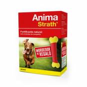 Supplément AlimentAir Anima-Strath 100 ml + Mordedor