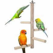 Support en bois naturel pour oiseau perroquet, cage
