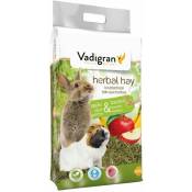 Vadigran - Foin aux herbes fruit pomme & banane 500gr