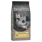 12kg Briantos Junior poulet, pommes de terre SANS CÉRÉALES - Croquettes pour chien